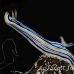 nudibranch_sne_h_0082_yap0416.jpg